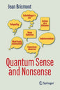 Quantum Sense and Nonsense - Paperback