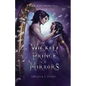 Wicked Prince of Mirrors: A Villain Gets the Girl Romantasy - Paperback