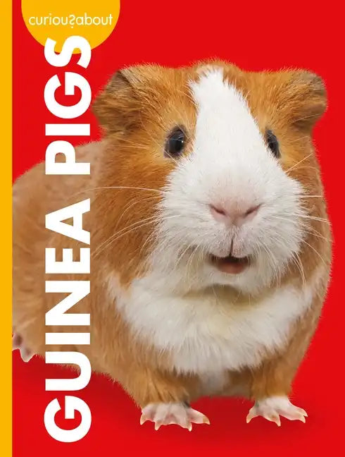 Curious about Guinea Pigs - Paperback