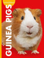 Curious about Guinea Pigs - Paperback