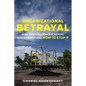 Organizational Betrayal: How Schools Enable Sexual Misconduct and How to Stop It - Paperback