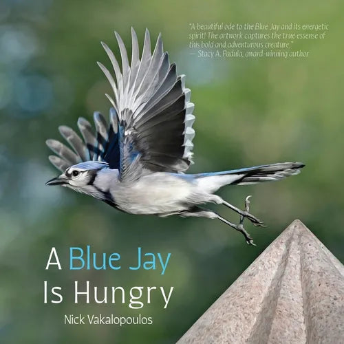 A Blue Jay is Hungry - Paperback