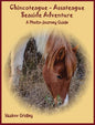 Chincoteague-Assateague Seaside Adventure: A Photo-Journey Guide - Hardcover