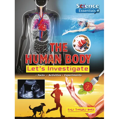 The Human Body: Let's Investigate - Paperback