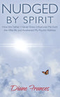 Nudged By Spirit - Paperback