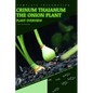 Crinum Thaianum The Onion Plant: From Novice to Expert. Comprehensive Aquarium Plants Guide - Paperback