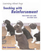 Teaching with Reinforcement: For Every Day and in Every Way - Paperback