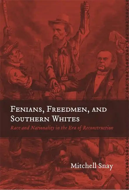 Fenians, Freedmen, and Southern Whites: Race and Nationality in the Era of Reconstruction - Paperback