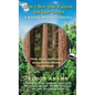 Can't See the Forest for the Trees: A Warning Message to America - Hardcover