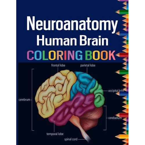 Neuroanatomy Human Brain Coloring Book: Colorful introduction to the anatomy of the human brain model for neuroscience - Paperback