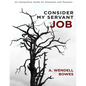 Consider My Servant Job: An Interpretive Guide for Preachers and Teachers - Paperback