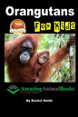 Orangutans For Kids - Paperback