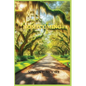 Homecoming: The Journey Home - Paperback
