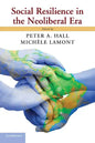 Social Resilience in the Neoliberal Era - Paperback