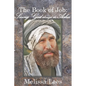 The Book of Job: Seeing God through the Ashes - Paperback