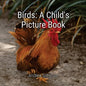 Birds: A Child's Picture Book - Paperback