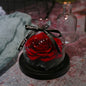 Valentine's Day Birthday Gift Gift Box Glass Cover Big Rose Immortal Flower