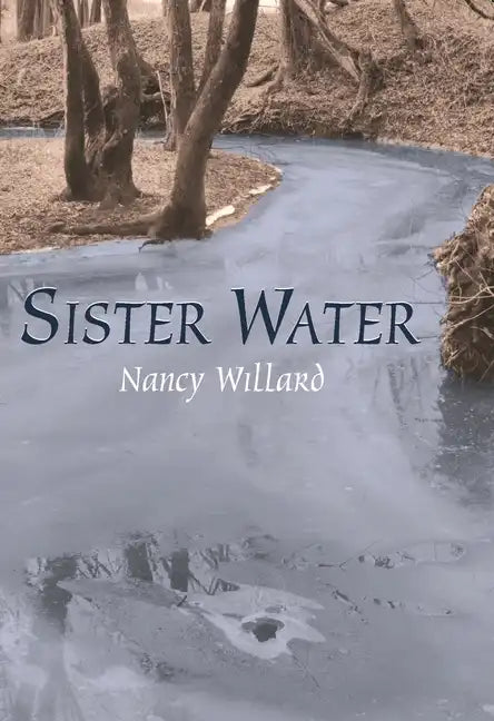 Sister Water - Paperback