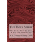 The Holy Spirit: Who He Is, What He Does, & Why You Should Care - Paperback