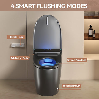 Unique Smart Toile,  One Piece Toilet with Bidet Built In,Intelligent Toilet ...