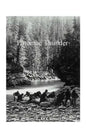 Potomac Thunder - Paperback