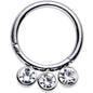 16G 5/16 Clear Gem Stainless Steel Hinged Segment Ring