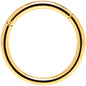 16G 3/8 Gold Tone Anodized Hinged Segment Ring