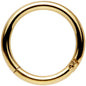14G 3/8 Gold Tone Anodized Hinged Segment Ring