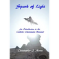 Spark of Light: An Introduction to the Catholic Charismatic Renewal - Paperback