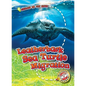 Leatherback Sea Turtle Migration - Library Binding