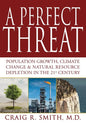 A Perfect Threat - Paperback