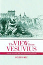 The View from Vesuvius: Italian Culture and the Southern Question Volume 46 - Paperback