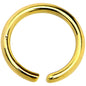 18G 1/4 Gold IP Annealed Steel Seamless Circular Ring