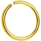 18G 5/16 Gold IP Annealed Steel Seamless Circular Ring