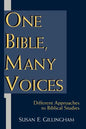 One Bible, Many Voices: Different Approaches to Biblical Studies - Paperback