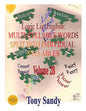Logic List English: Multi-Syllable Words - Split into Individual Syllables: Vol. 2B - Paperback