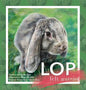 Lop Felt Worried - Hardcover