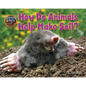 How Do Animals Help Make Soil? - Library Binding