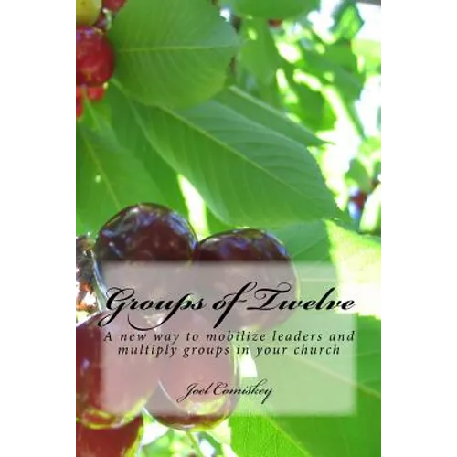 Groups of Twelve: A new way to mobilize leaders and multiply groups in your chur - Paperback