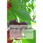 Groups of Twelve: A new way to mobilize leaders and multiply groups in your chur - Paperback