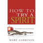 How to Try a Spirit: Identify Evil Spirits and the Fruit They Manifest - Paperback