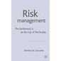 Management Risk: The Bottleneck Is at the Top of the Bottle - Hardcover
