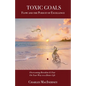 Toxic Goals, Flow and the Pursuit of Excellence: Overcoming Boredom & Fear on Your Way to a Better Life - Paperback