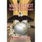 Marine Recruit: Tears in the Sand - Paperback