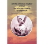 Roman Catholic Church Versus 2nd Vatican Council Reformation: Hoping to Save Souls - Paperback