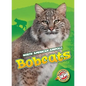 Bobcats - Library Binding