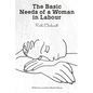 The Basic Needs of a Woman in Labour - Paperback
