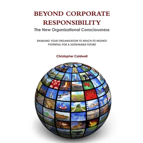 Beyond Corporate Responsibility - Paperback