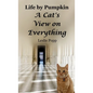 Life by Pumpkin: A Cat's View on Everything - Hardcover