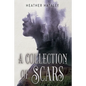 A Collection of Scars - Paperback